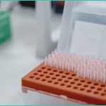 a randomized open label trial to assess feasibili