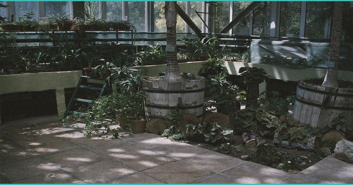 azuca celebrates 8 years and 700 million precisely