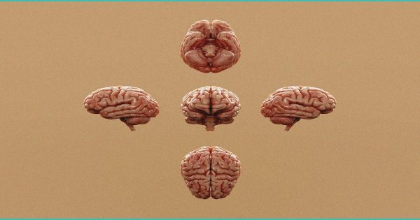 b cannabis b munchies driven by brain reward si