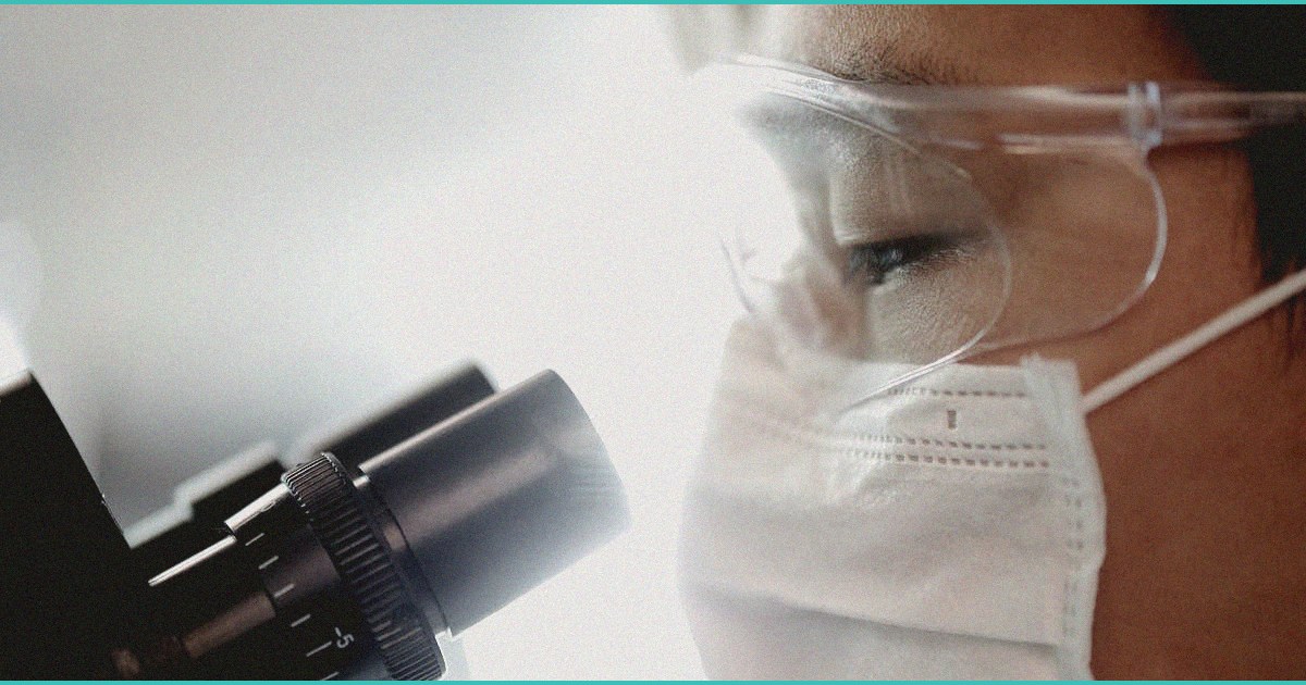 b cannabis b products recalled in new york due