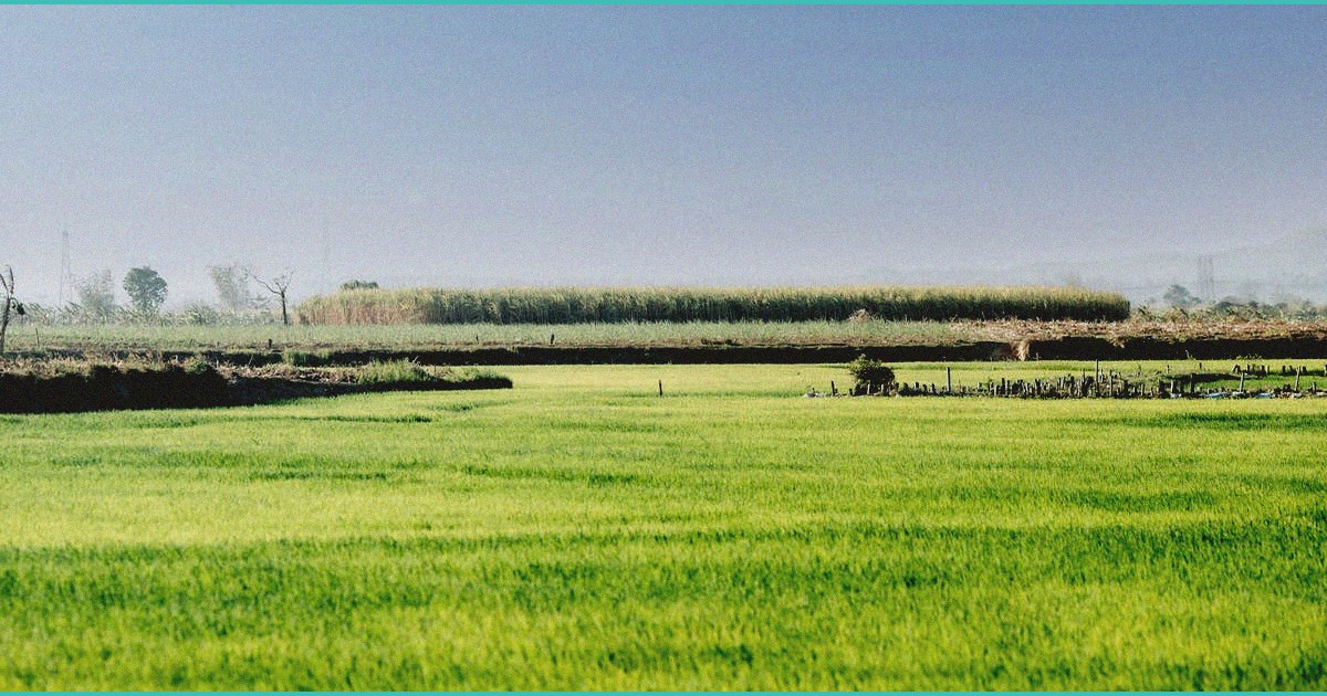 b marijuana b deathsquads andrew cashen socia