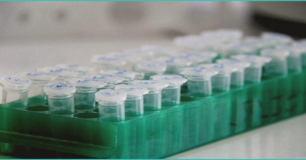 b study b reveals b cannabis b compounds red 2