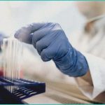can cannabis help with hypertension the fresh to
