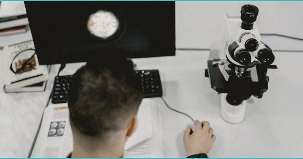 Cannabis Aging Brain Endocannabinoid System – CED Clinic