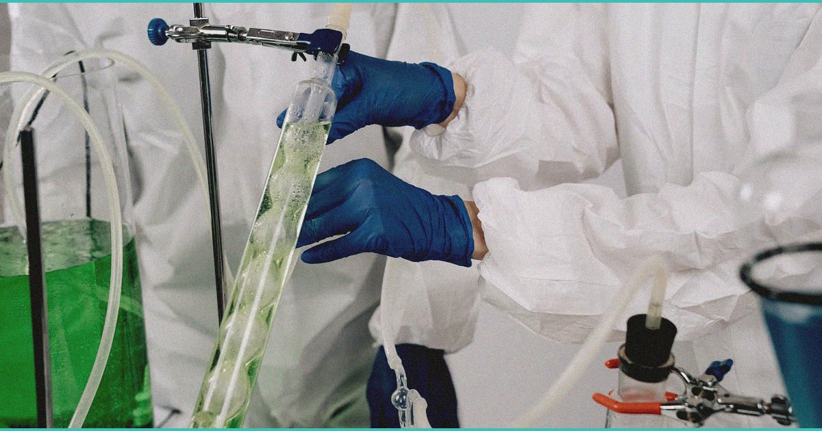 cannabis for adhd research findings 2024 2026 h