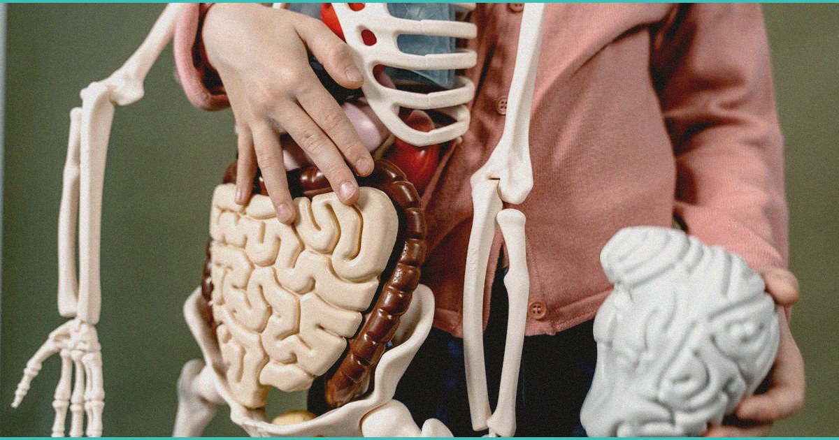 cannabis intoxication broadly impairs multiple mem