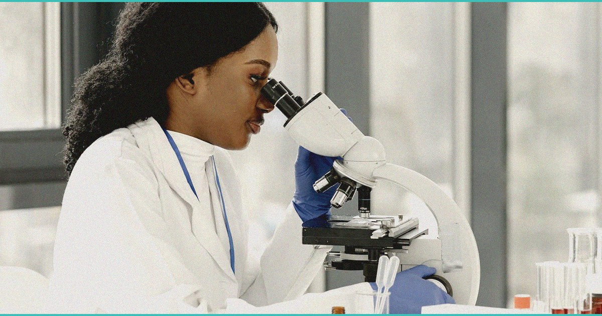 cannabis legalization spurs innovation but not al 1