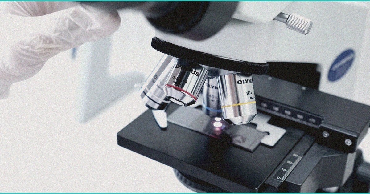 cannabis stocks rise and fall on rescheduling news