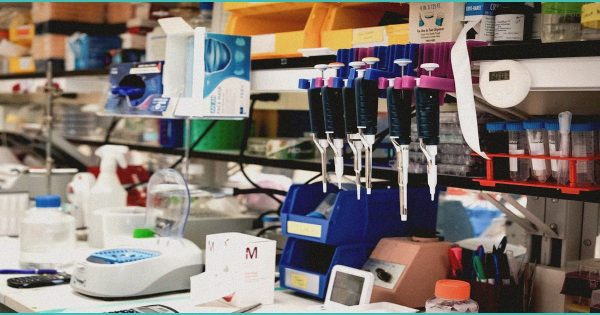 Cannabis: What Is the Profile of Adults at Low Risk of Dependence?