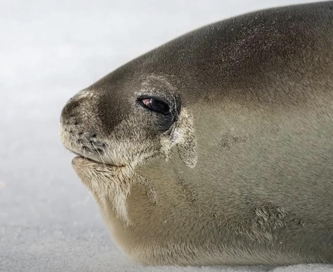 Catching a whiff of weed in public got me like: