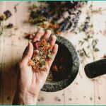 cbd gummies free trial what to expect before you
