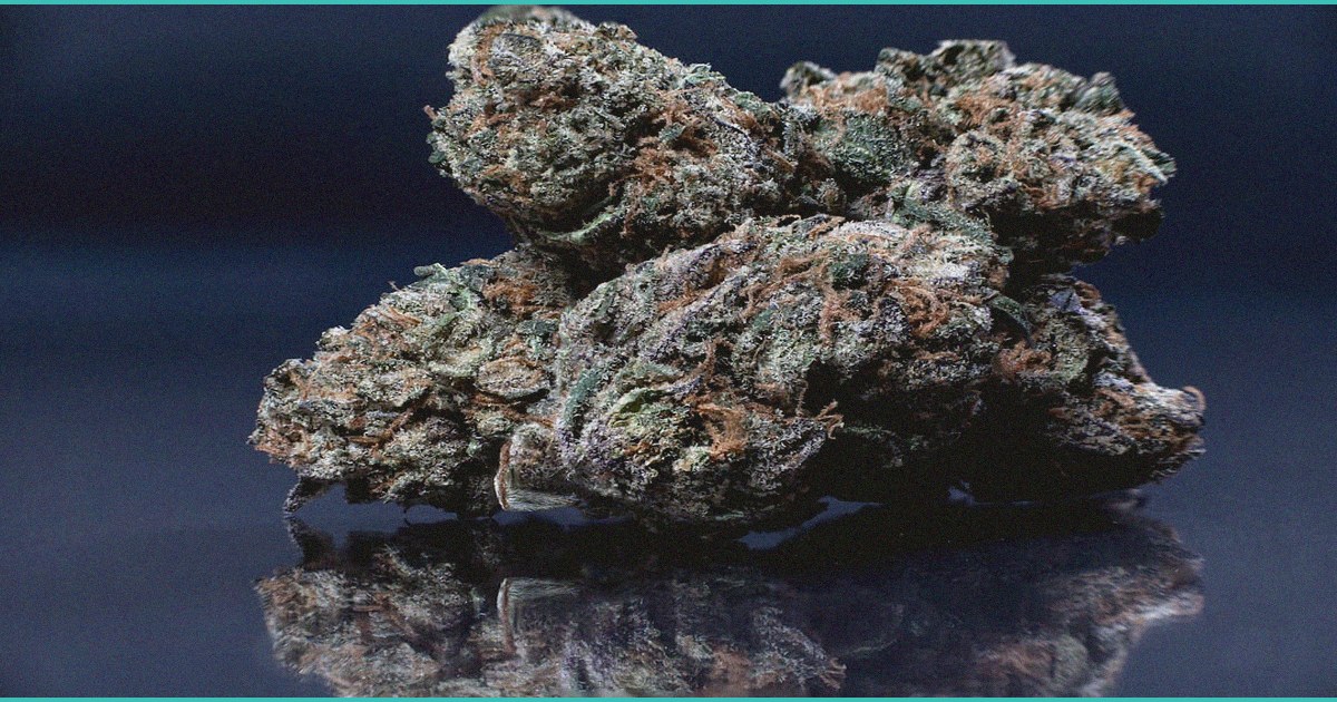 cbd gummies with melatonin uk a practical look at