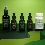 ced pexels 17604981