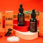 ced pexels 17605538