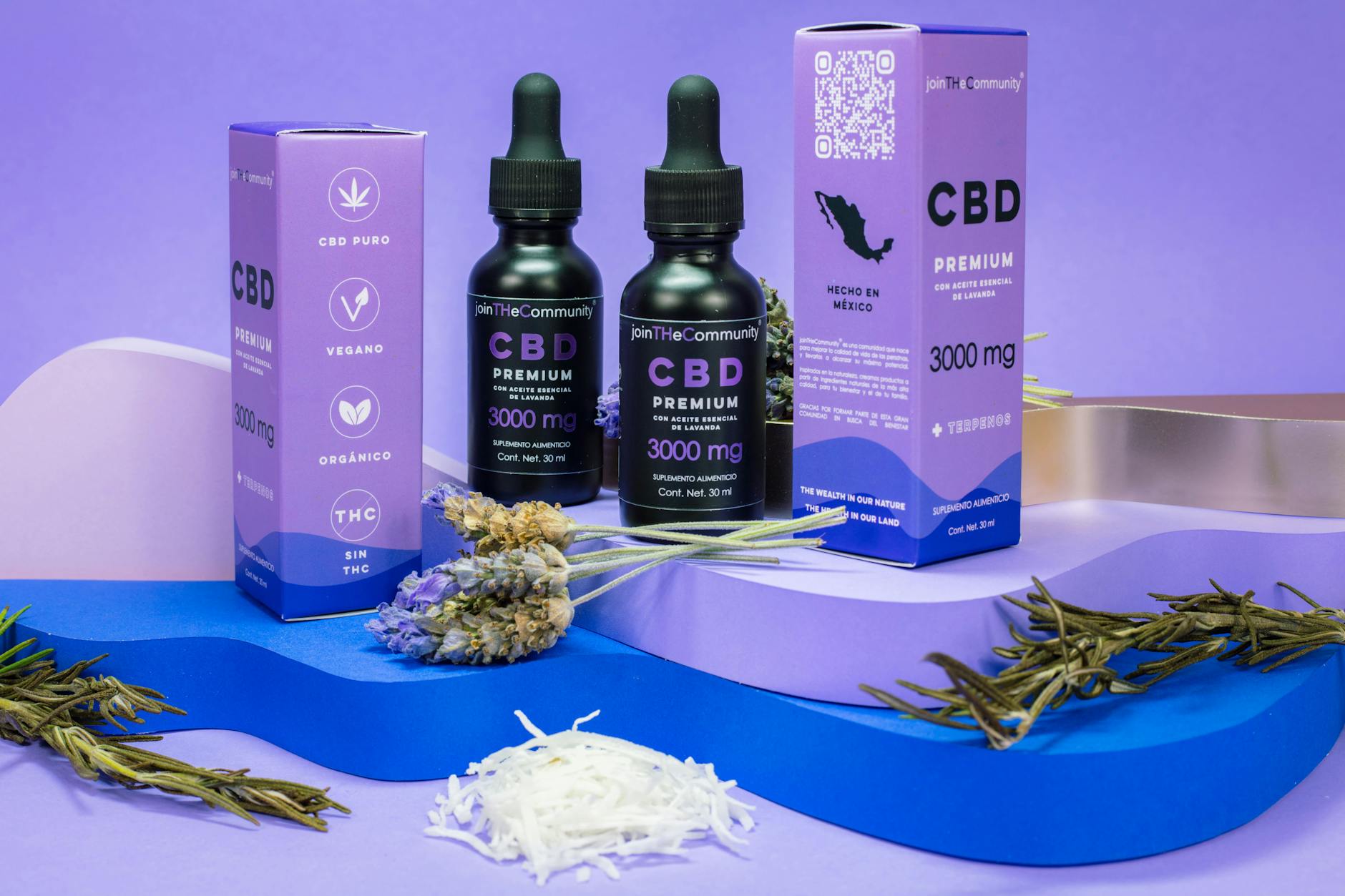 ced pexels 17605670 1