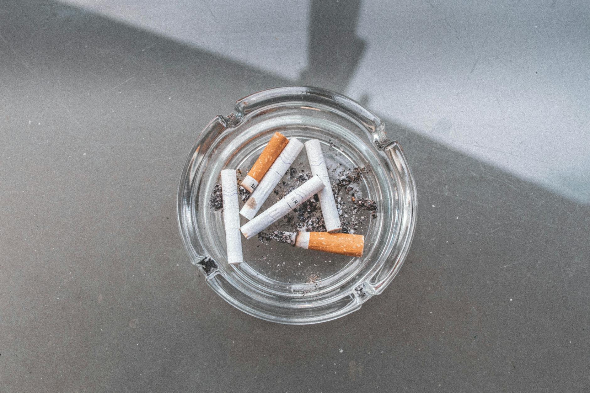 Endocannabinoid System in HIV Smoking Cessation Care