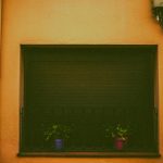 ced pexels 29210953