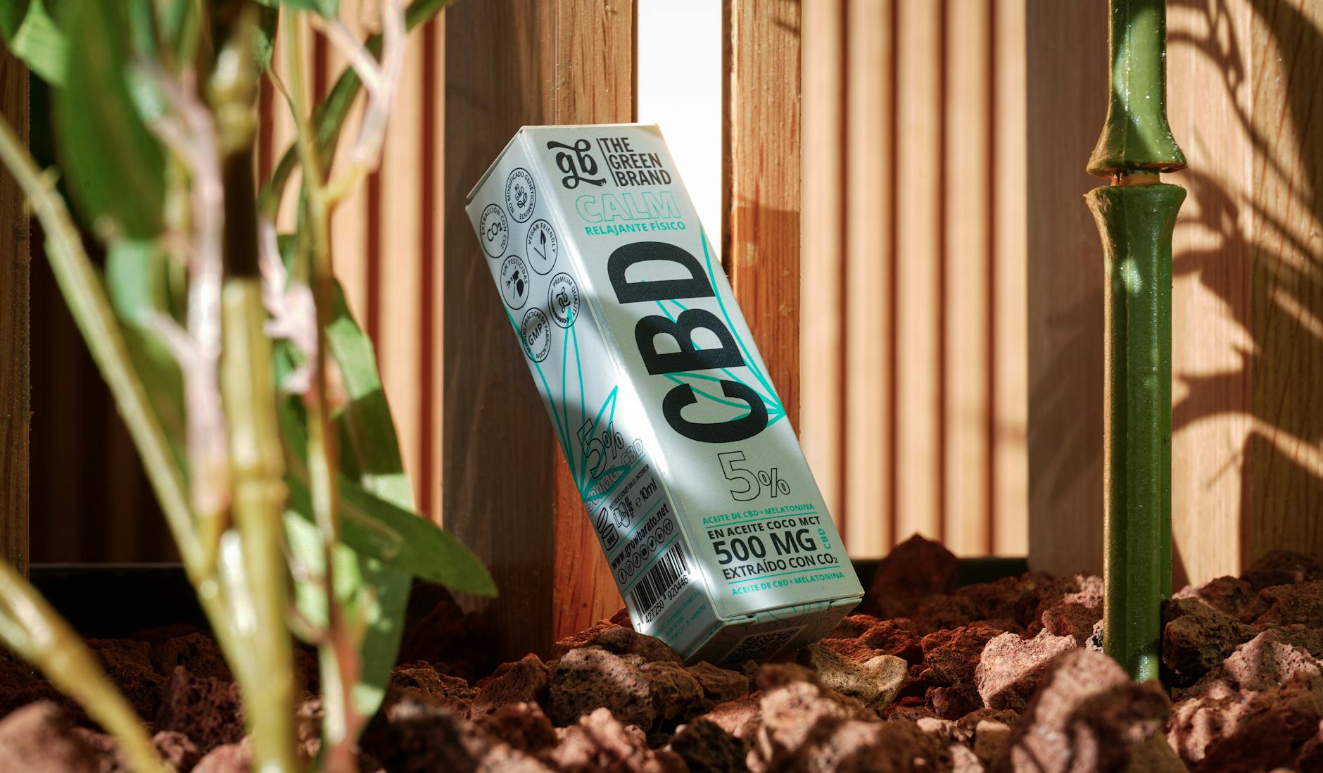 ced pexels 30801250