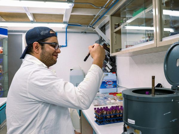 McGrath named inaugural research fellow of Institute of Cannabis Research