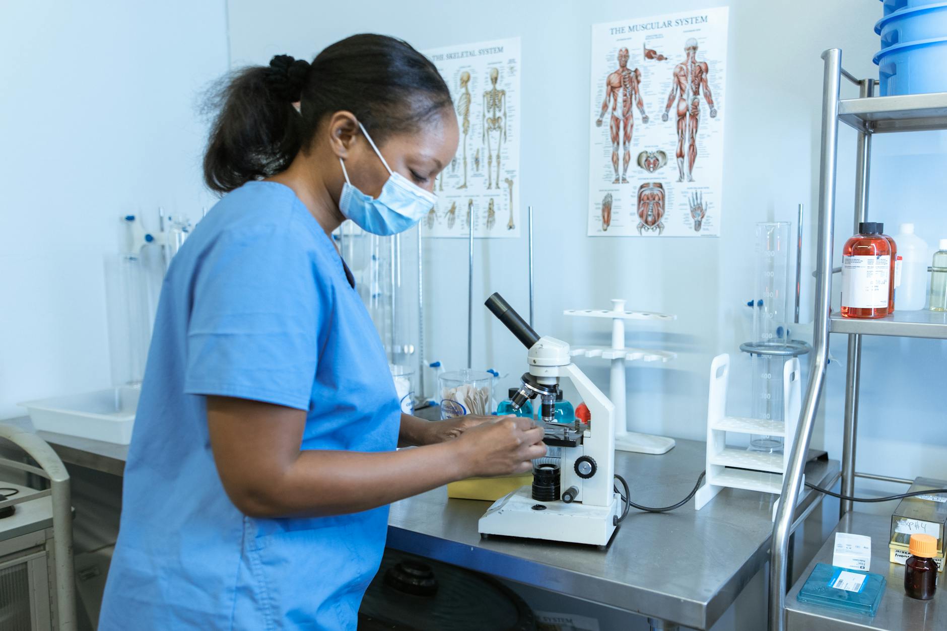 Endocannabinoid System Clinical Research: Cannabis Evidence