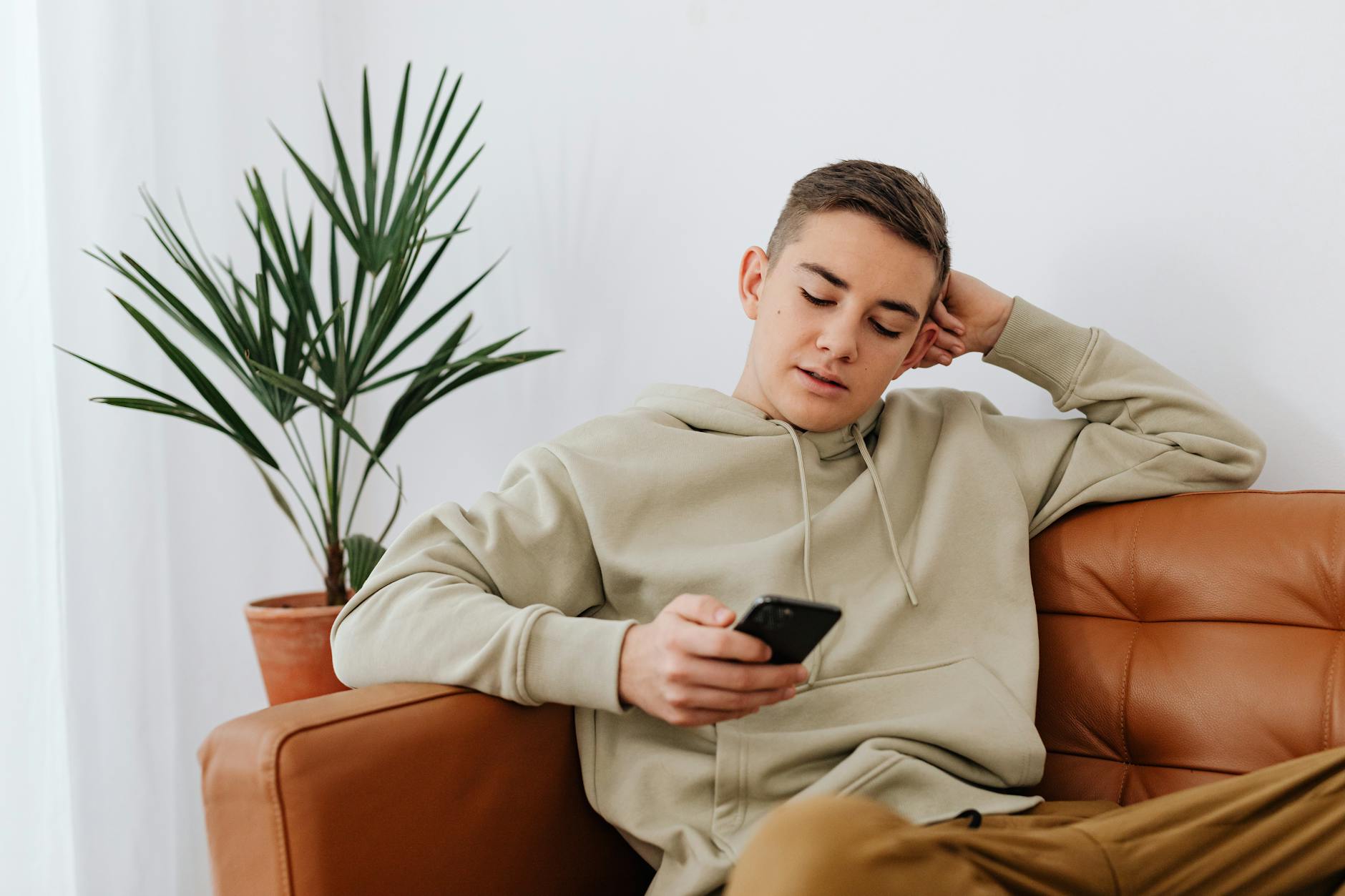 Endocannabinoid System Research: Cannabis Use in Teen Anxiety