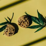 ced pexels 7852449