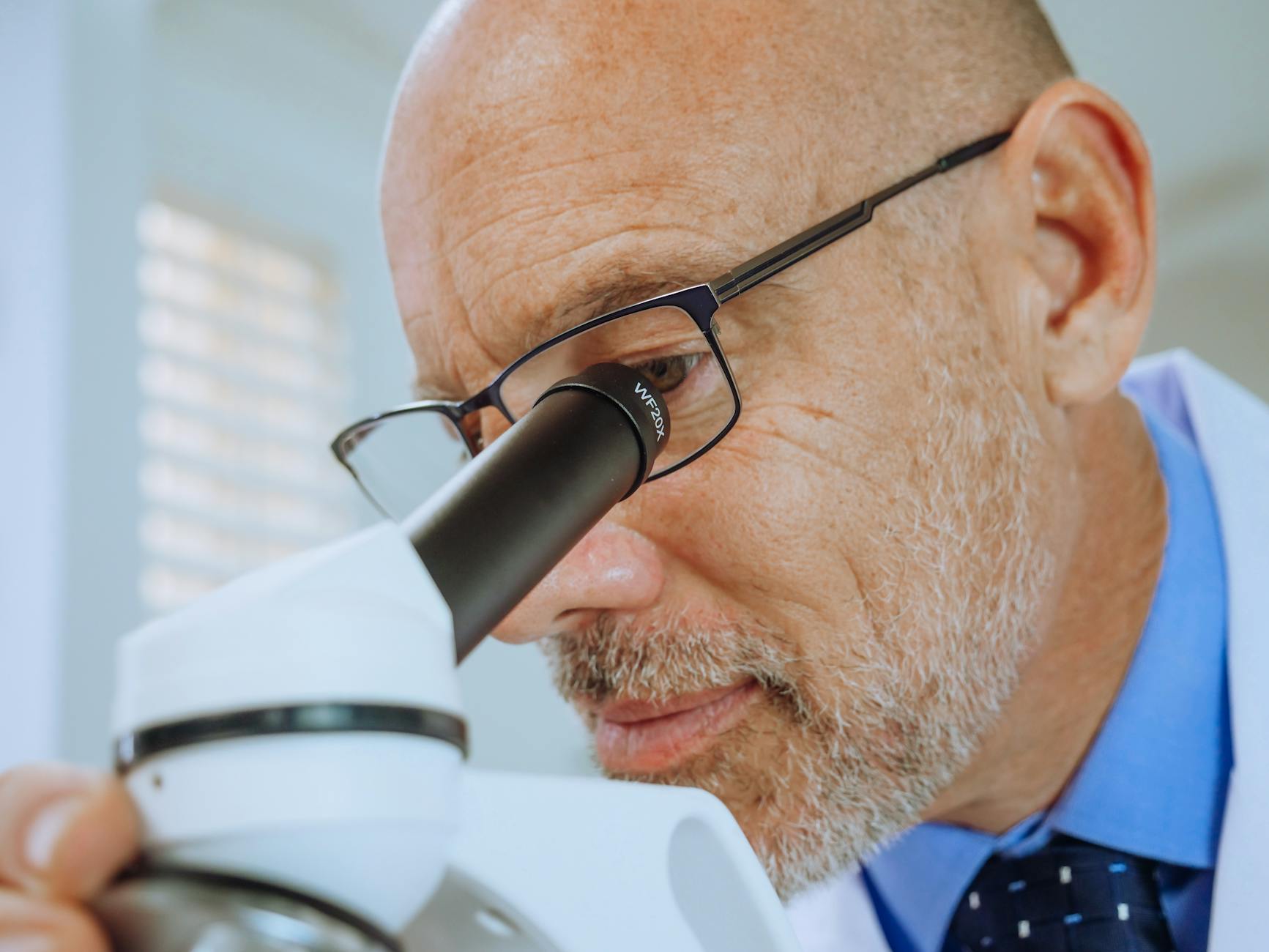 Endocannabinoid System and Cannabis Dosing: Clinical Research - CED Clinic