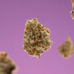 ced unsplash 4374FcrtNmM