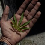 ced unsplash G2DYzDEXGQQ