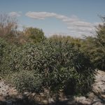 ced unsplash SL5JByNH3Qk