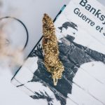 ced unsplash bLMxzbZY0yY