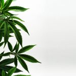 ced unsplash h9ue EmlM7s