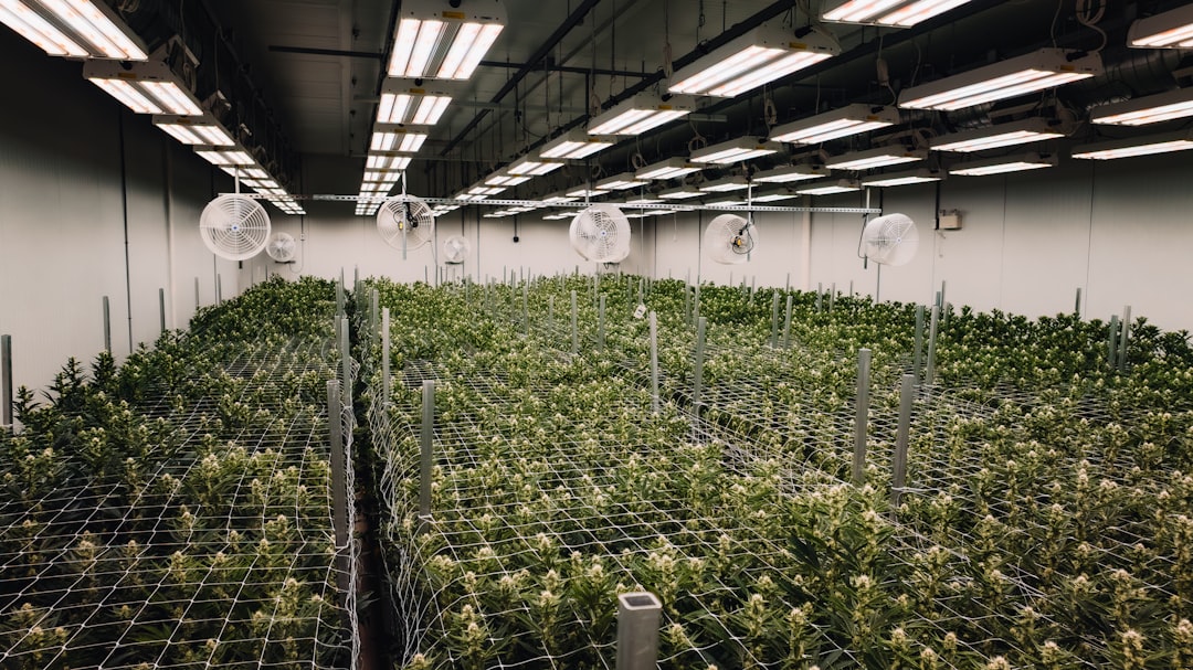 ced unsplash sAjGYEwz Cg