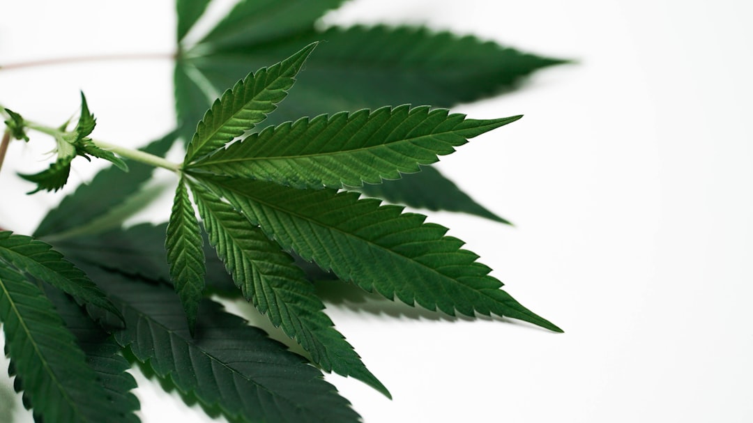 In the Mix: 11 More Articles — April 26, 2026