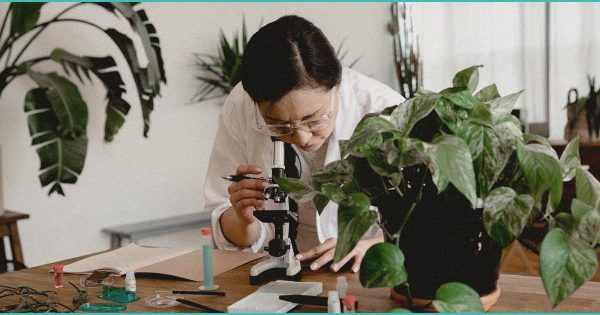 Colorado Marijuana Officials Announce Crackdown On Sales Of Hemp Products Amid ‘Risks …