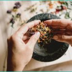 colorado marijuana regulators pledge crackdown on