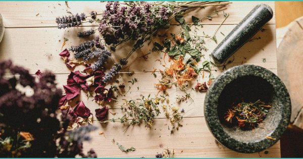 Congress floats plan to let states opt out of federal hemp THC ban – MJBizDaily