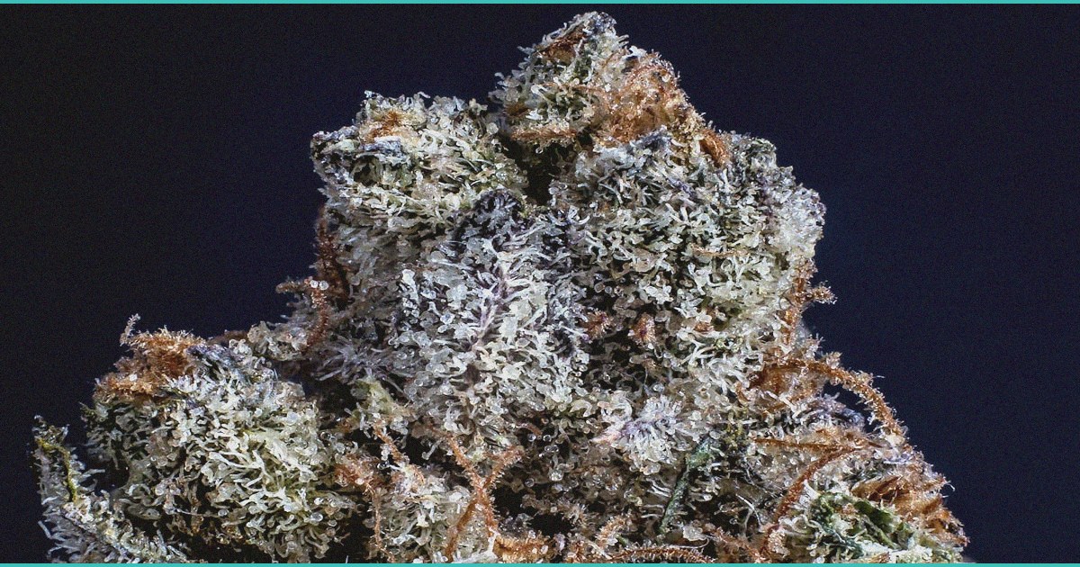 curts cbd gummies reviews a practical look at eve