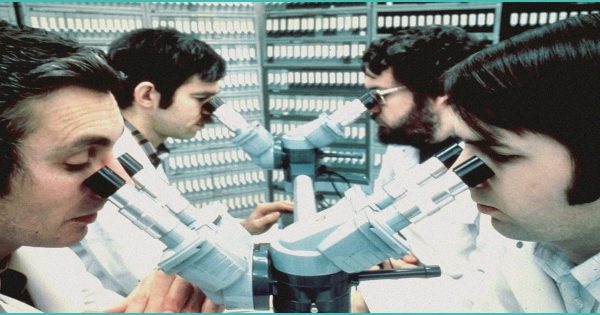 Daily News-Miner Events – Pie Day Sale