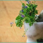 do cbd gummies cure ed what the evidence and real
