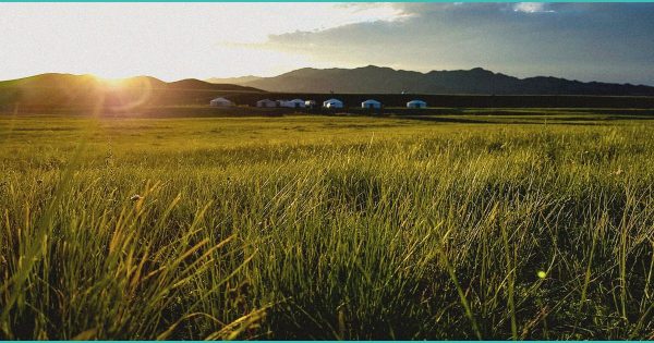 Drug busts made at Newberry prison | News, Sports, Jobs – The Mining Gazette