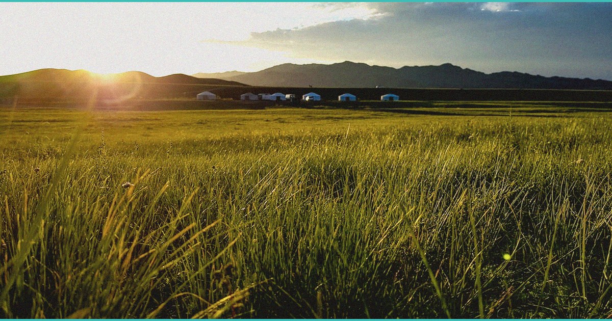 drug busts made at newberry prison news sports