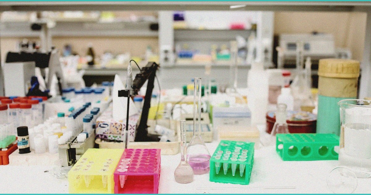 endocannabinoid system adolescent cannabis use