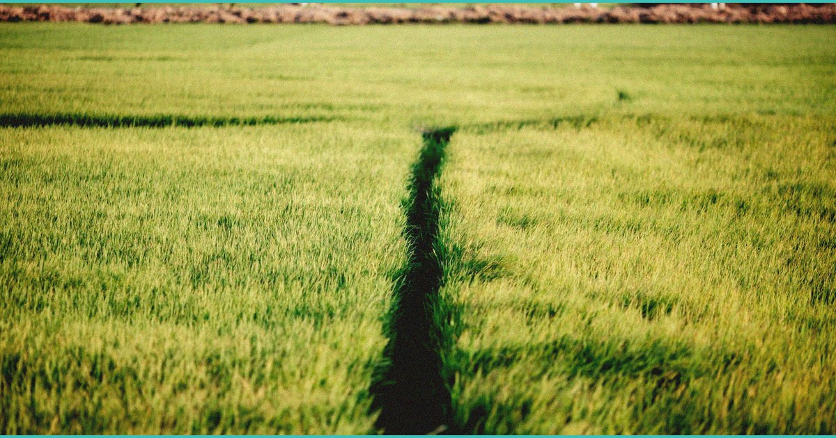 erj podcast january 2026 b cannabis b and the