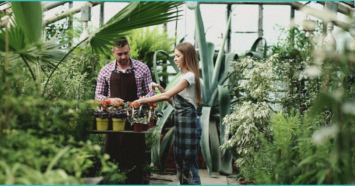 fda s new hemp cbd enforcement move is encouraging