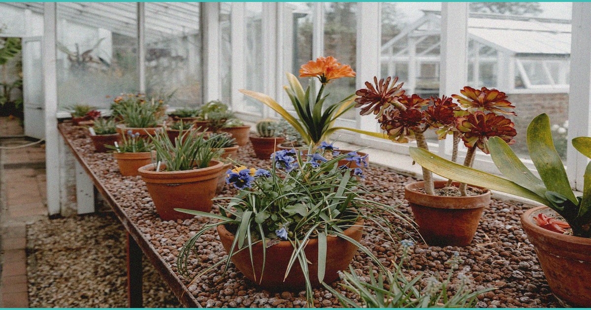 federal government reclassifies medicinal marijuan