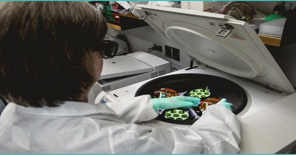 Federal marijuana reclassification could reshape medical research and cannabis industry