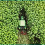 feds finalize new rule allowing some hemp products