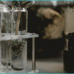 georgia bill could limit probable cause for smell