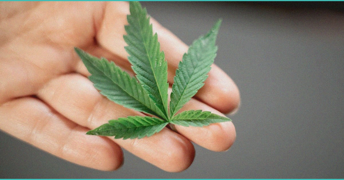 georgia nears medical cannabis expansion hemp lim 1